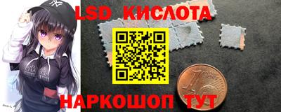 стаф Бийск