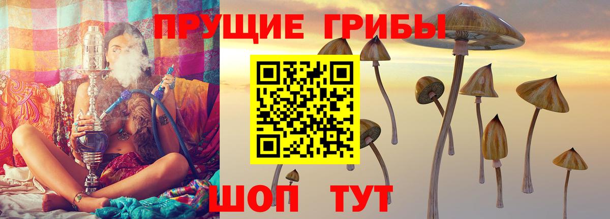Качканар  Псилоцибиновые грибы Cubensis  Вход с VPN 